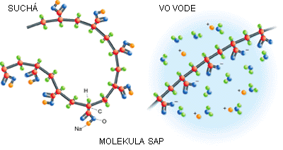 molekula_sap