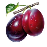 plums