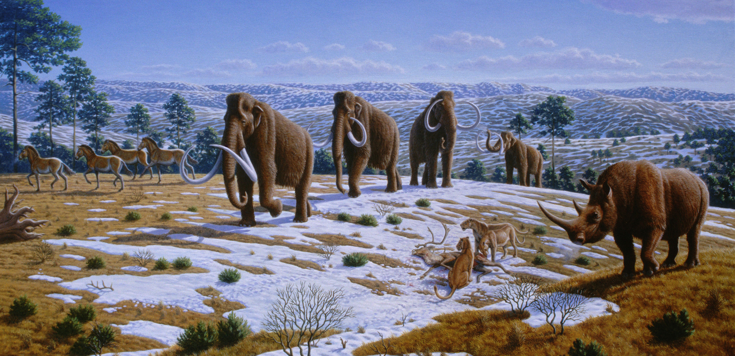 woolly_mammoth_siberian_tundra-1