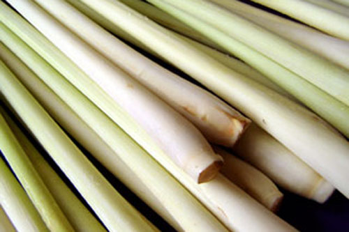 lemongrass