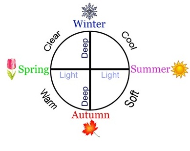 Flow-chart-circle