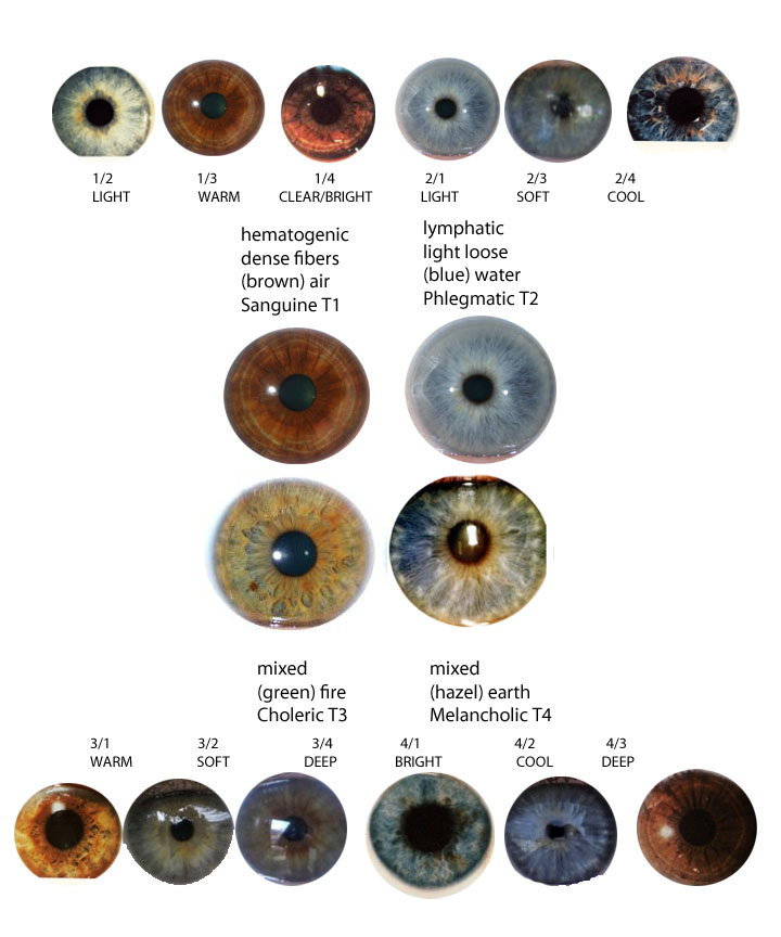 eye types