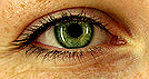 eyeswarmgoldengreen