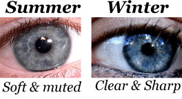 newsletter-summer-winter-eye