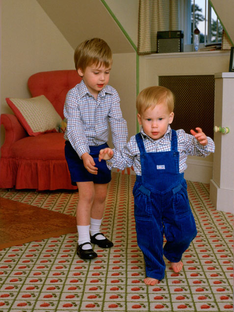 prince-harry-prince-william