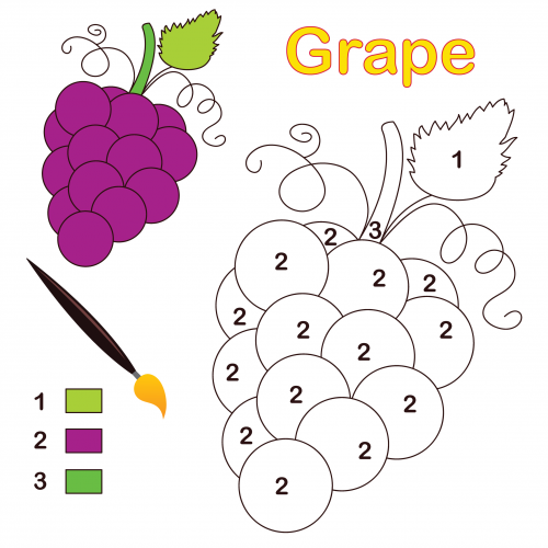grape-color-number-coloring-page