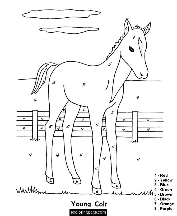 horse-color-by-number-coloring-pages-l-7458f28453383084.gif