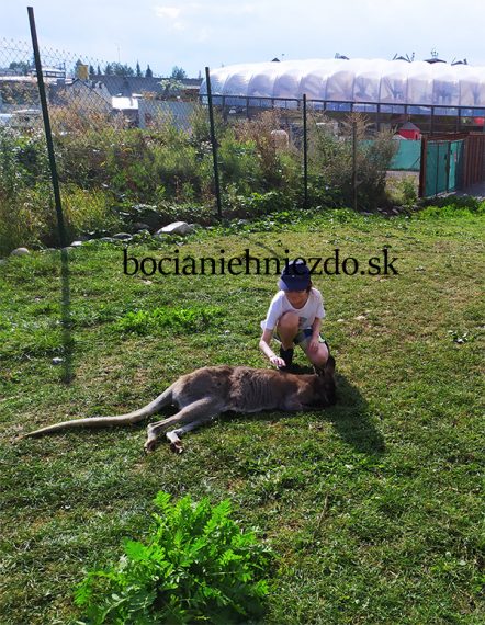 Kontaktné zoo, Liptovský Mikuláš, Tatralandia