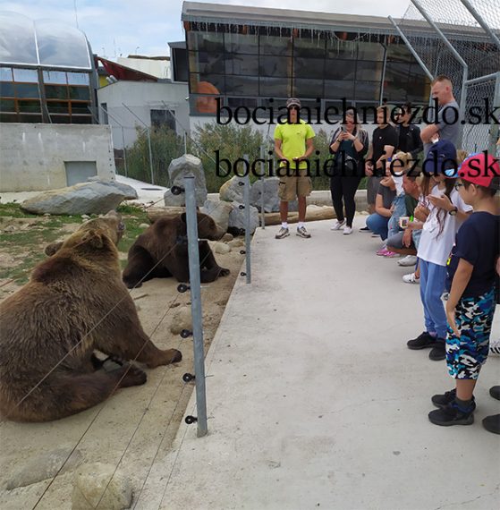 Kontaktné zoo, Liptovský Mikuláš, Tatralandia