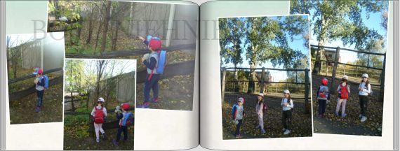 zoo gyor